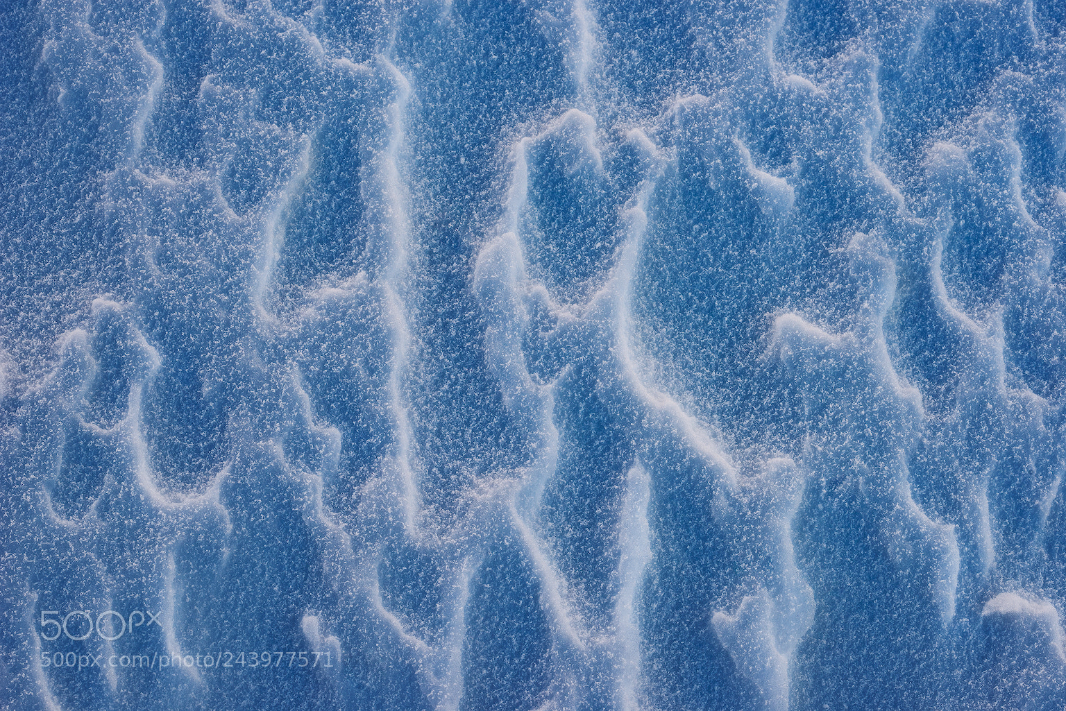 Nikon D810 sample photo. Frozen flames photography
