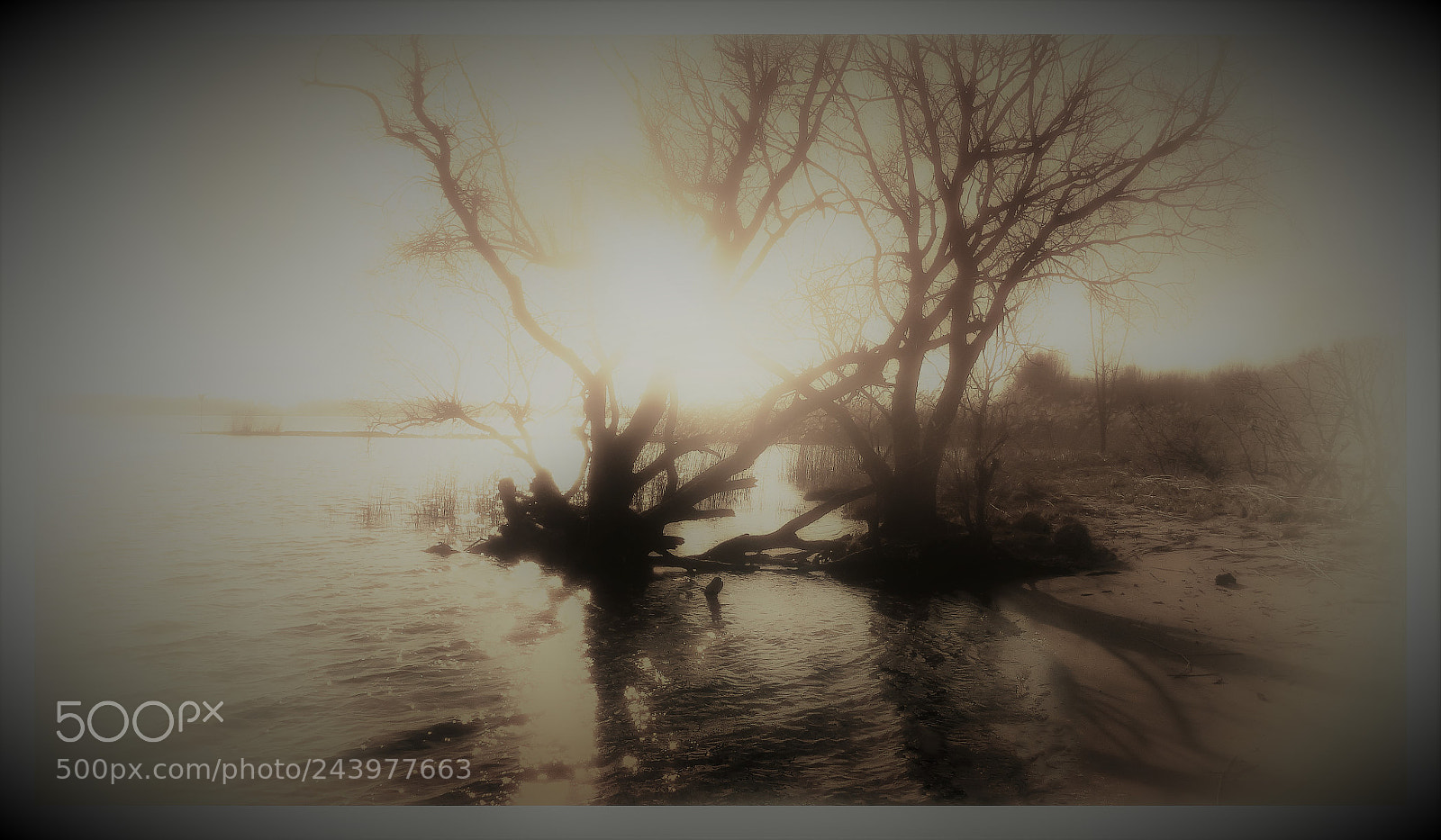Panasonic Lumix DMC-FZ200 sample photo. Riverside sunset photography
