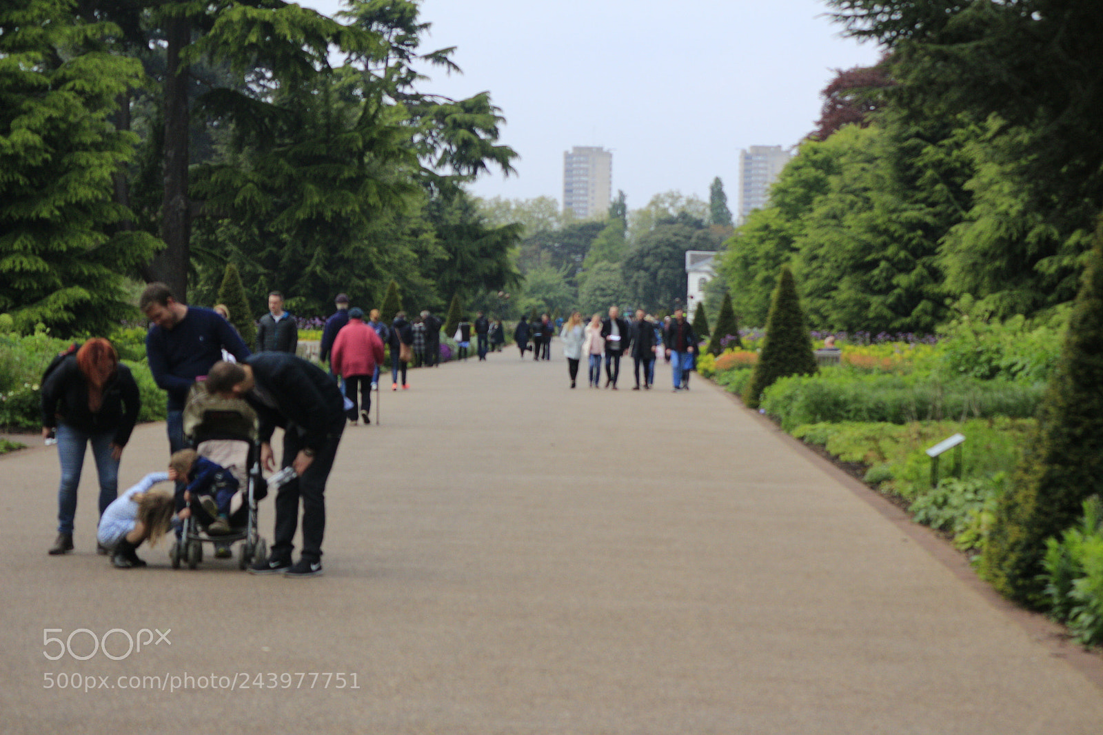 Canon EOS 650D (EOS Rebel T4i / EOS Kiss X6i) sample photo. Mg photography