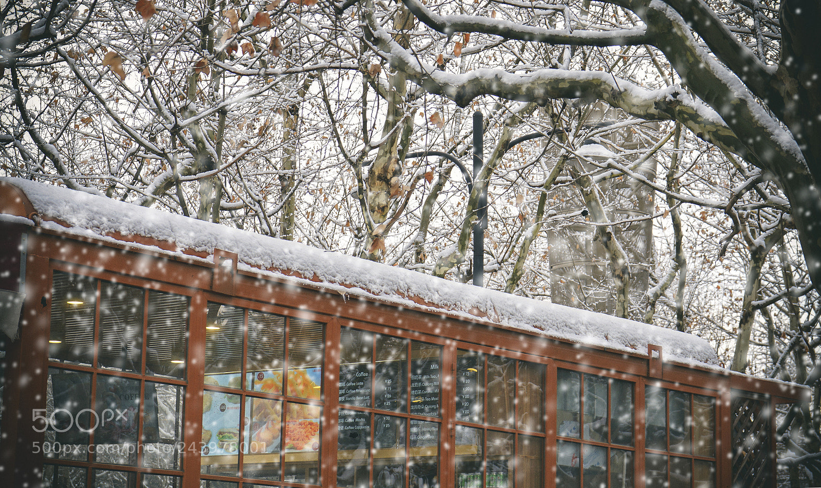 Sony a7 II sample photo. 雪 photography