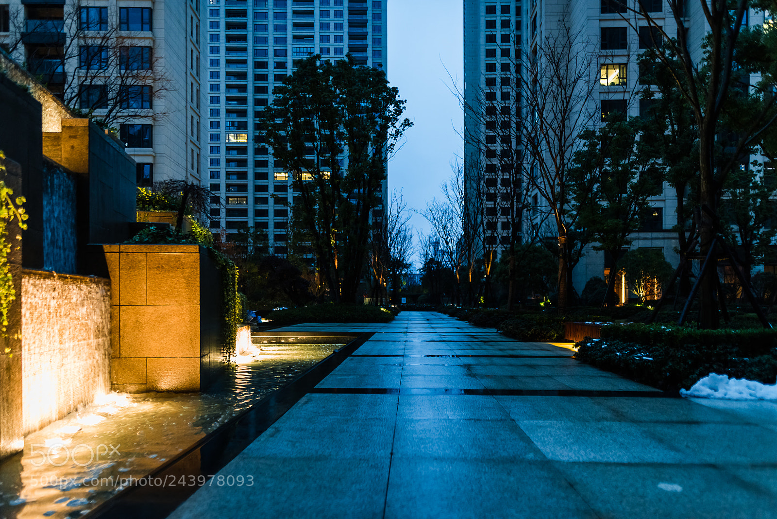 Nikon D810 sample photo. Untitled photography