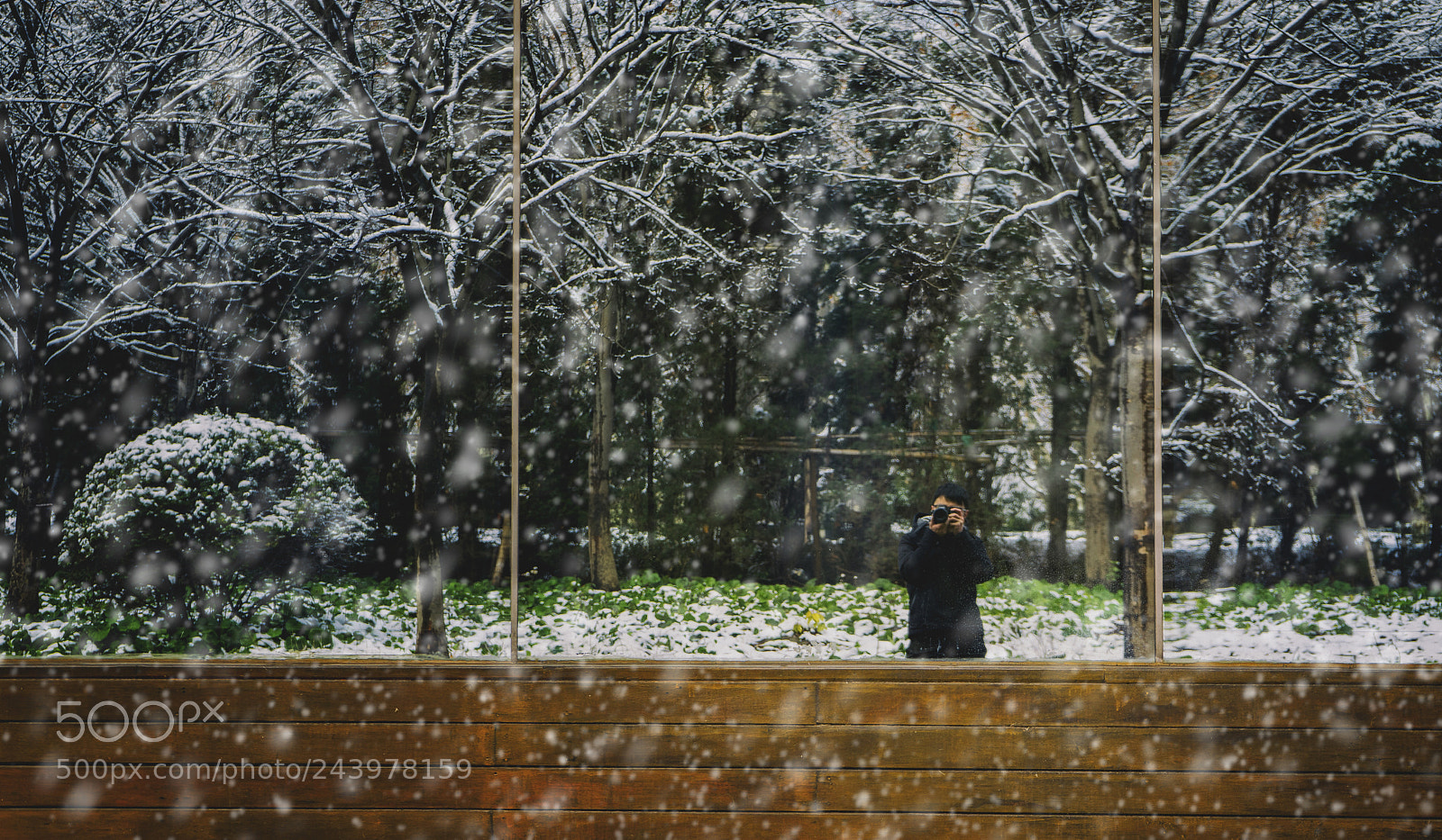 Sony a7 II sample photo. 摄雪 photography
