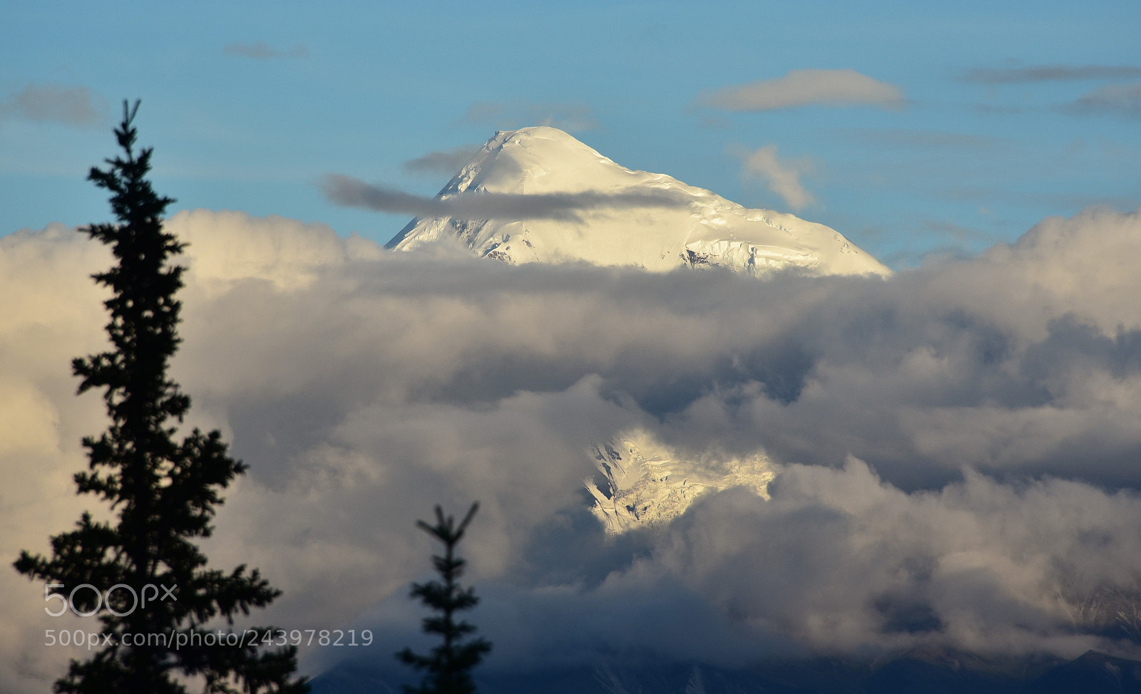 Nikon D750 sample photo. Denali photography