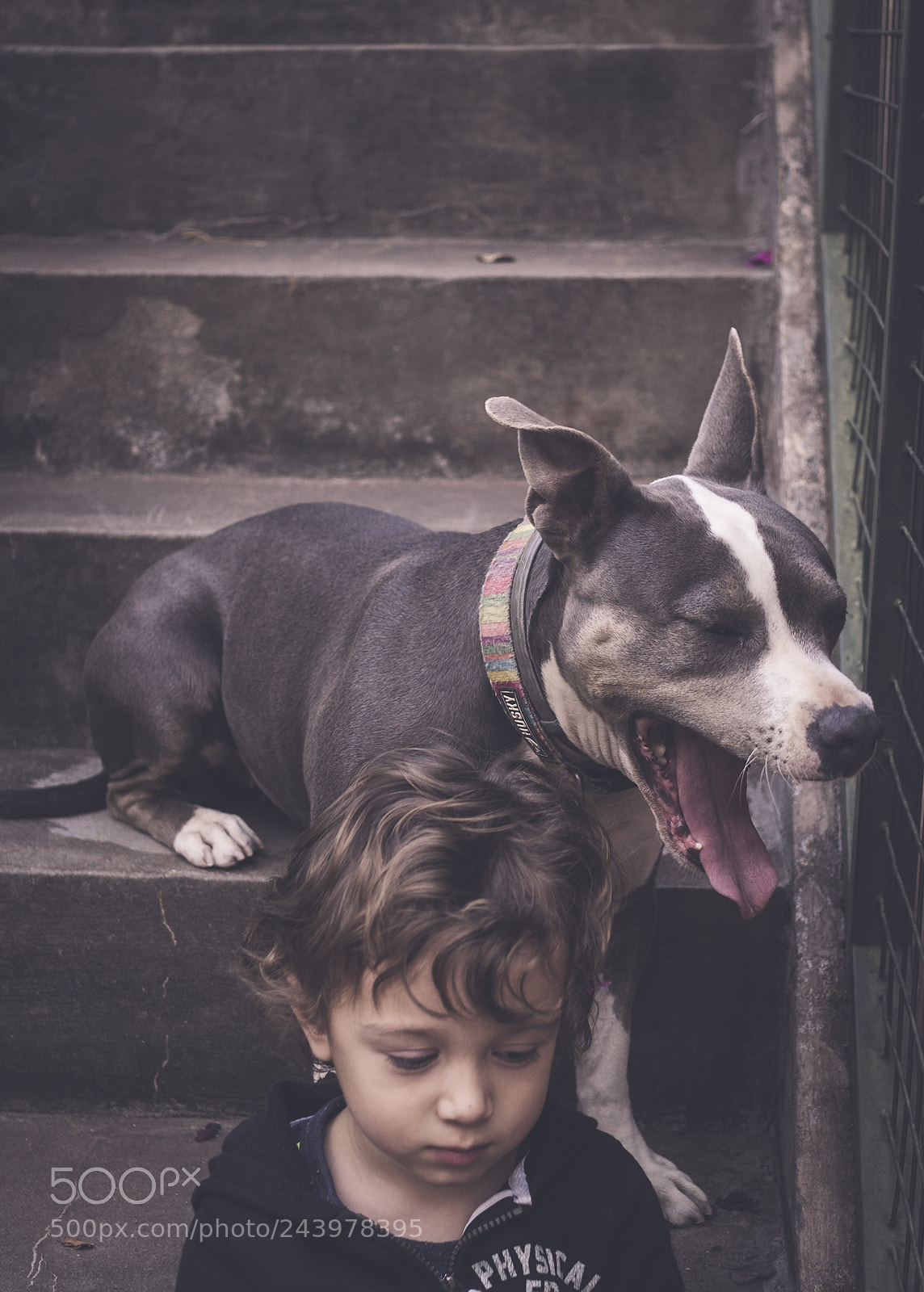 Olympus OM-D E-M10 II sample photo. Faithful friends. photography