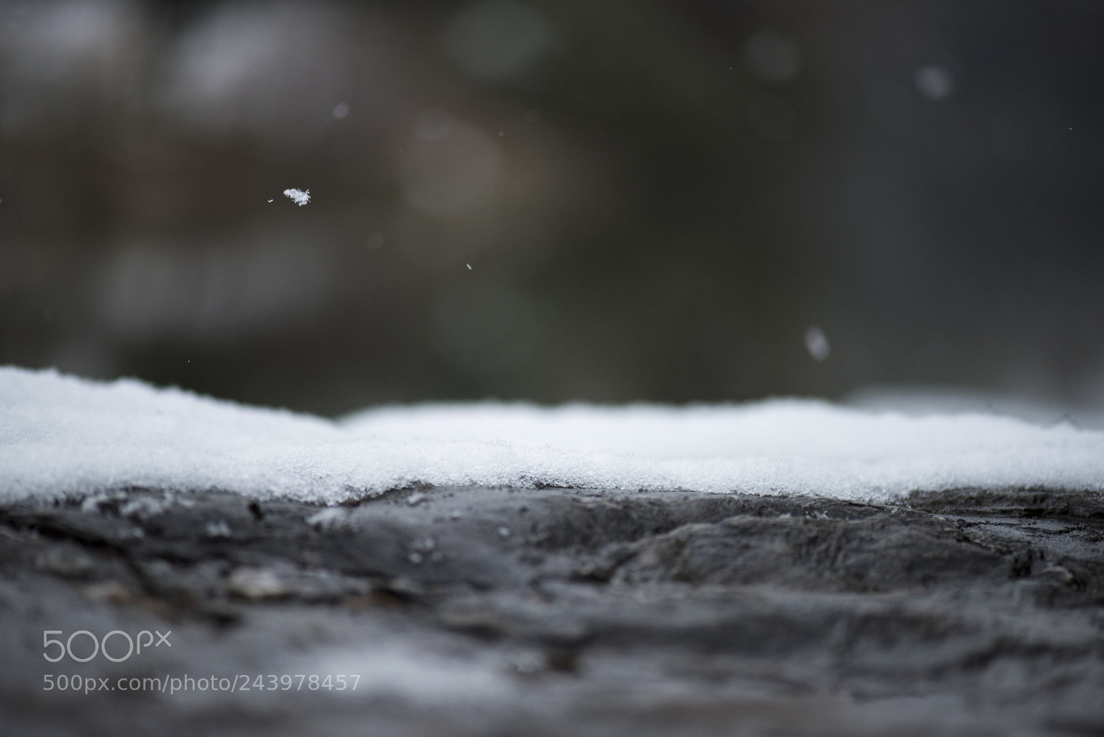 Nikon D810 sample photo. Snow photography