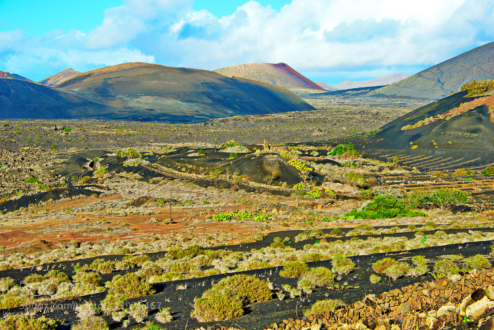 Nikon D800 sample photo. Magnificient lanzarote countryside with photography