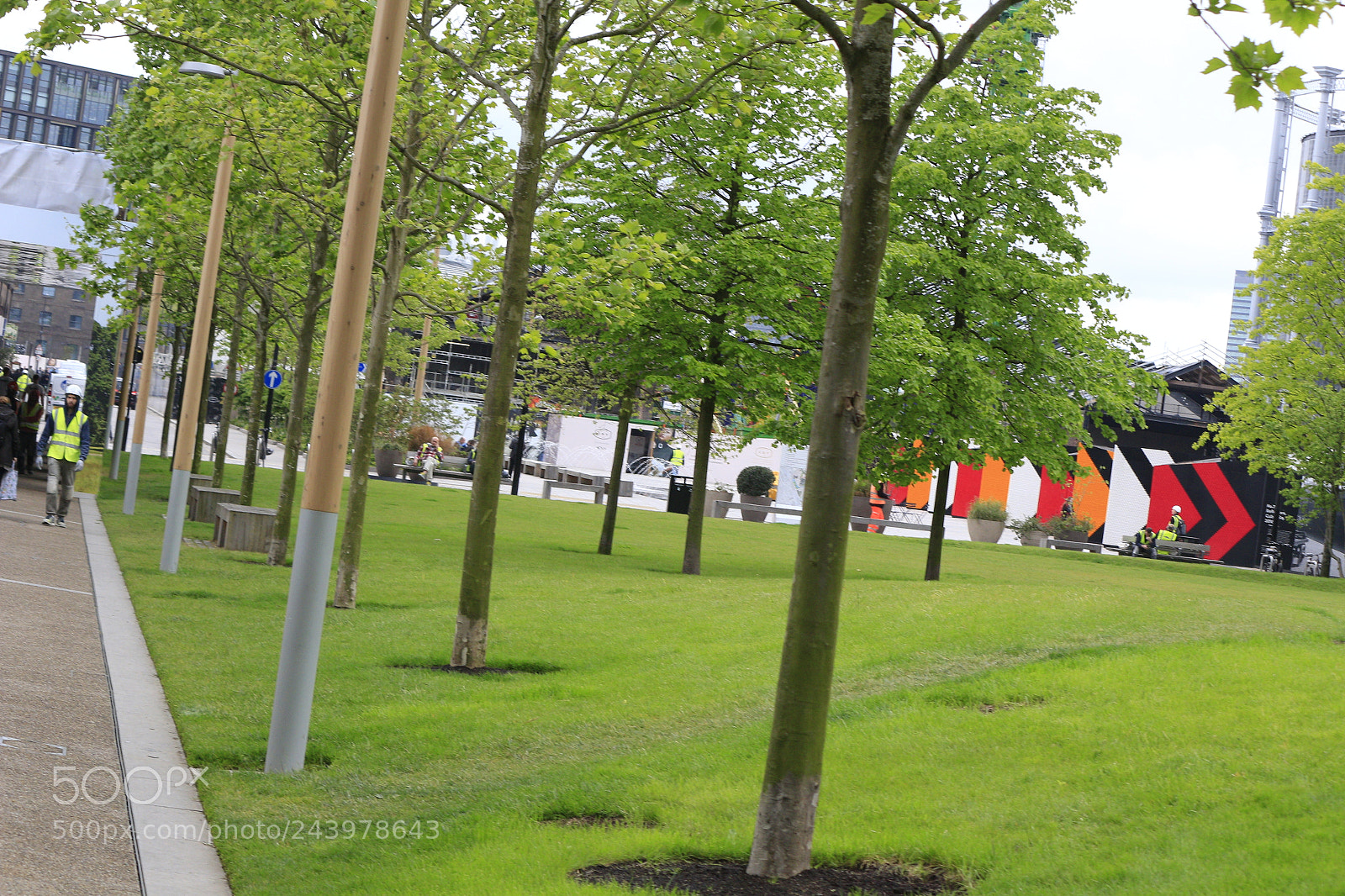 Canon EOS 650D (EOS Rebel T4i / EOS Kiss X6i) sample photo. Mg photography