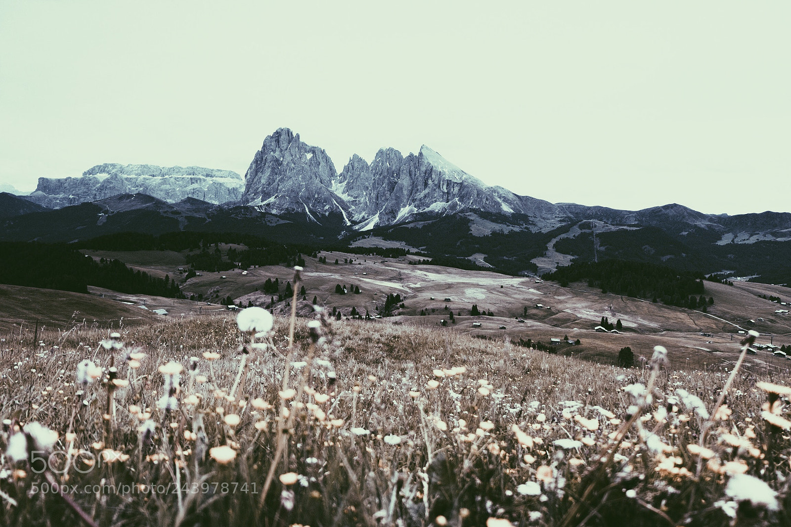 Fujifilm X-T20 sample photo. Seiser alm photography