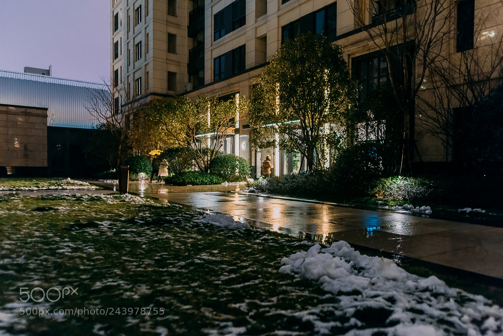 Nikon D810 sample photo. 小区夜景 photography