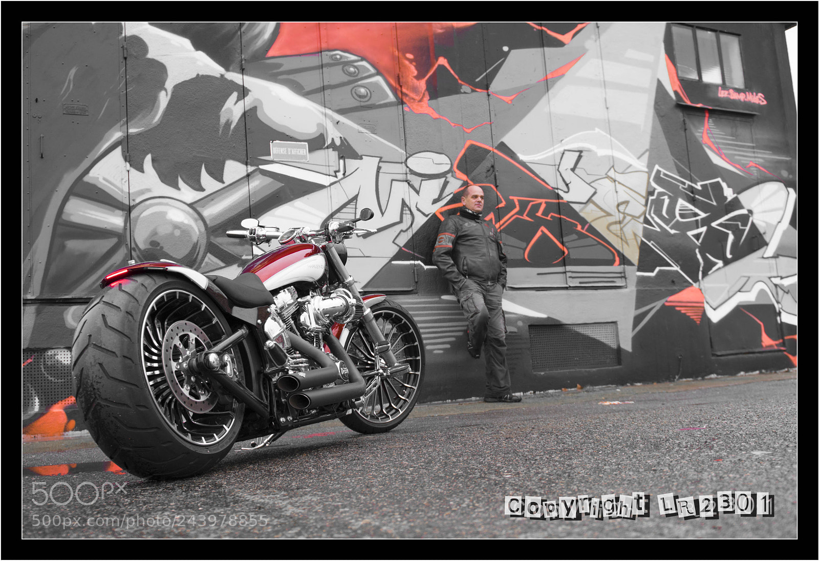 Nikon D500 sample photo. Harley davidson photography