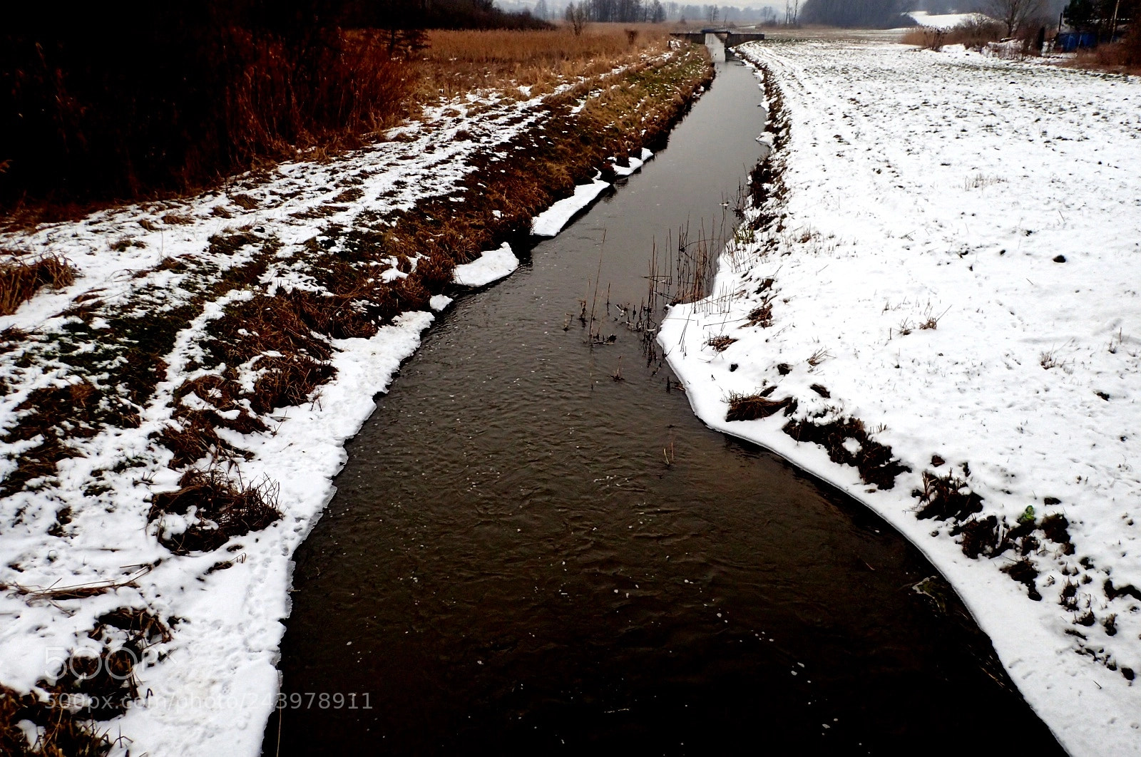 Olympus TG-4 sample photo. Winter photography
