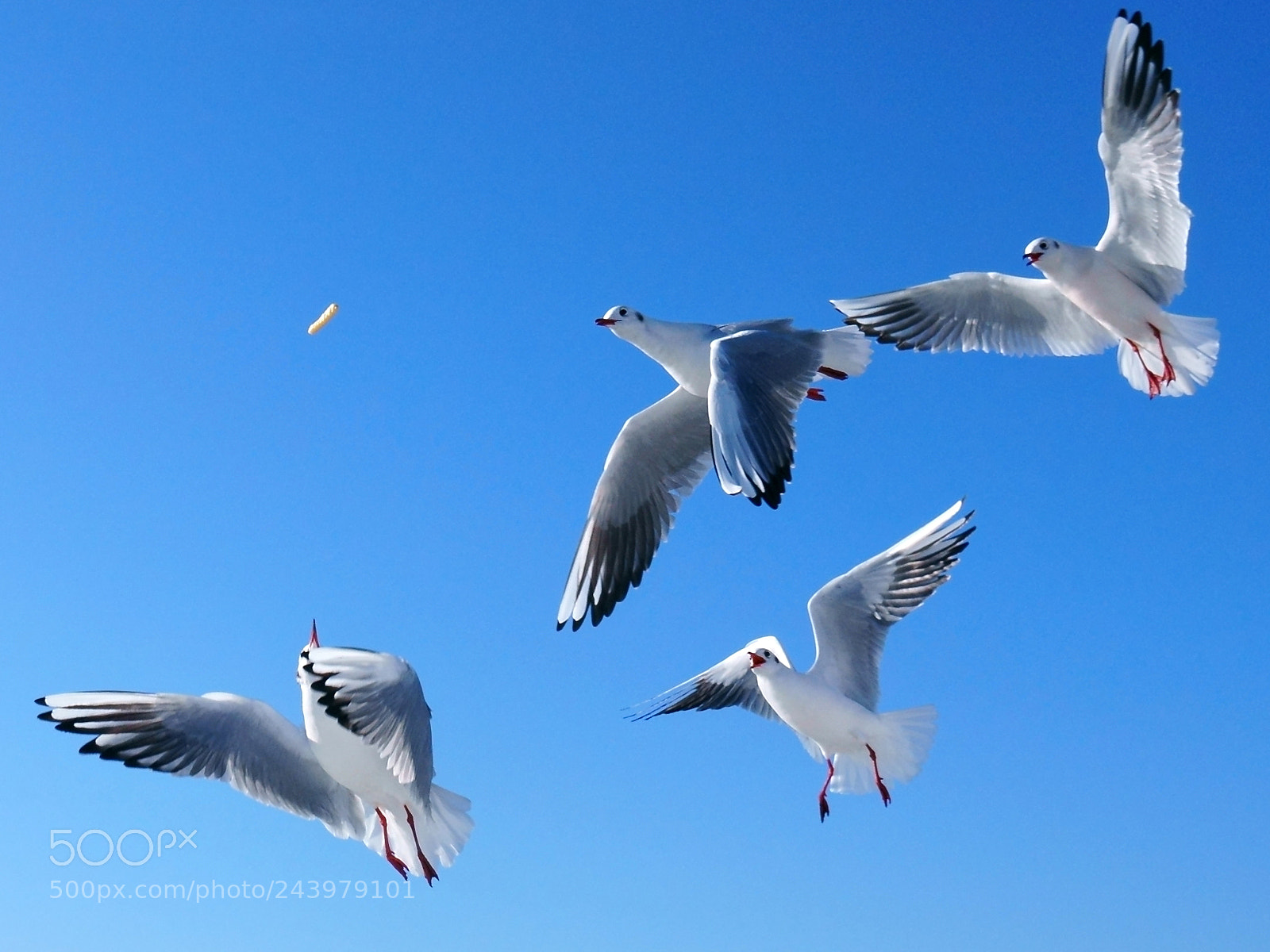 Sony a6300 sample photo. Competition photography