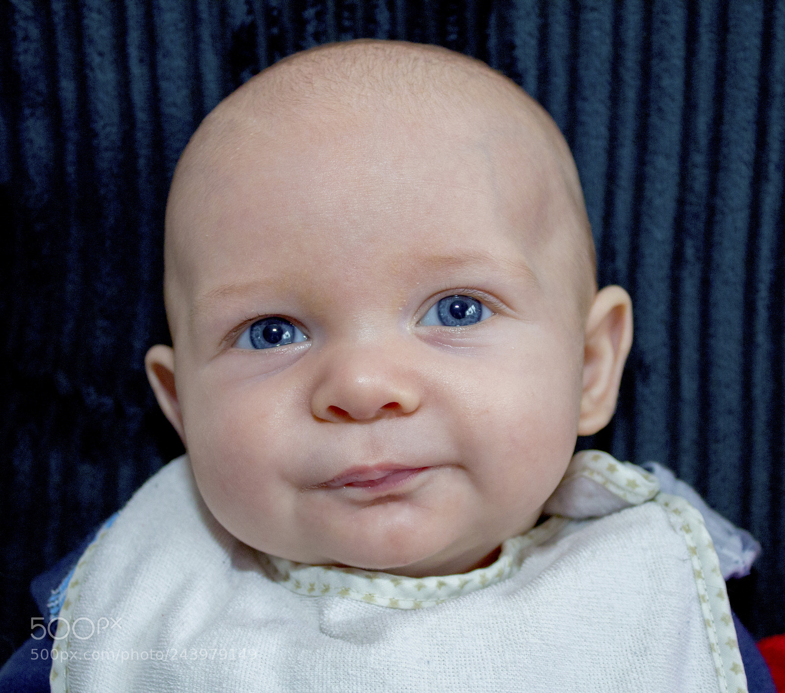 Canon EOS 60D sample photo. Max photography
