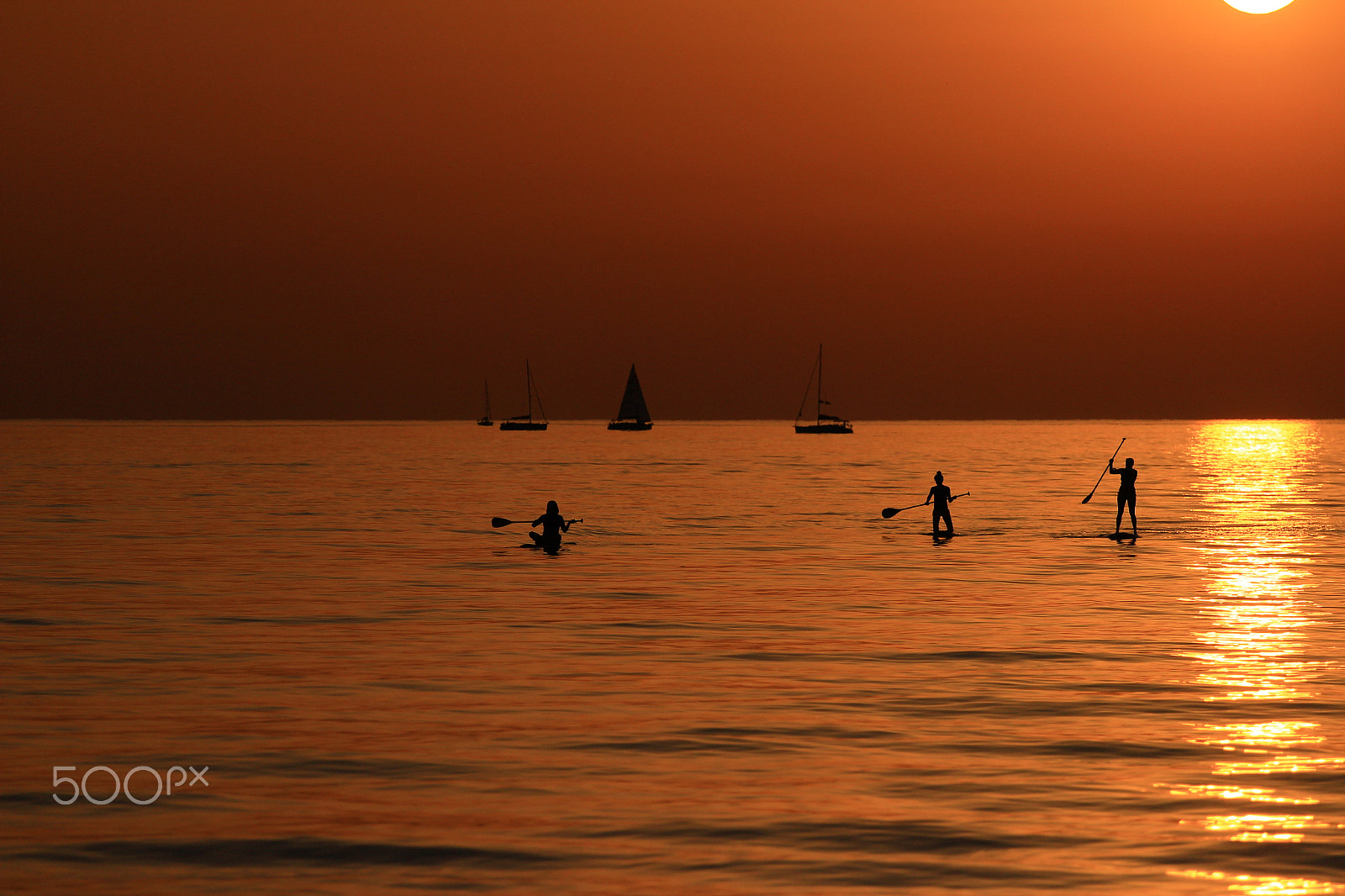 Canon EOS 600D (Rebel EOS T3i / EOS Kiss X5) sample photo. Sailing & sup surfing in a golden sea - tel-aviv photography