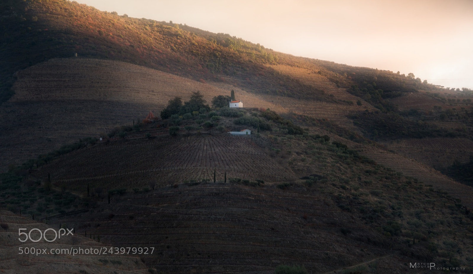 Nikon D810 sample photo. The top, douro photography