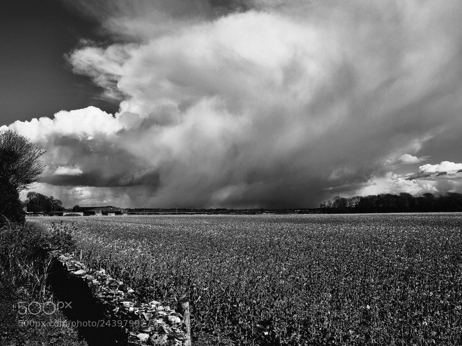 Olympus OM-D E-M5 II sample photo. Late april hailstorm, glos photography