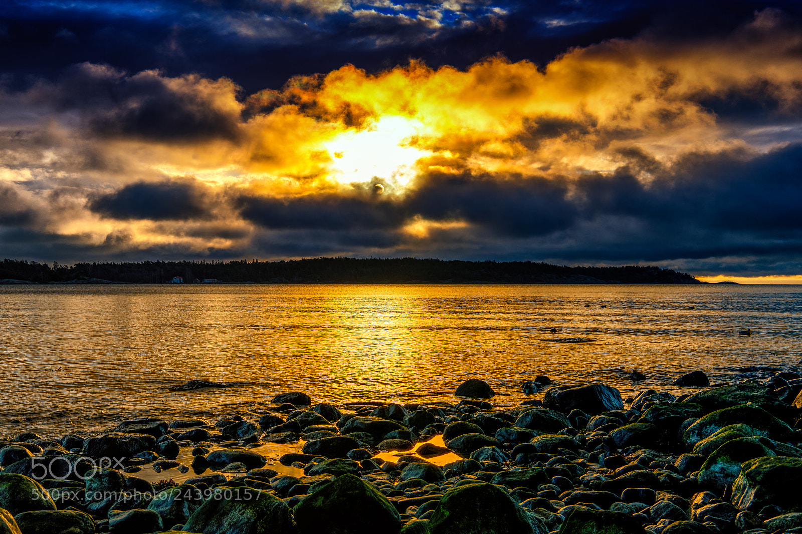 Nikon D850 sample photo. Sunrise photography