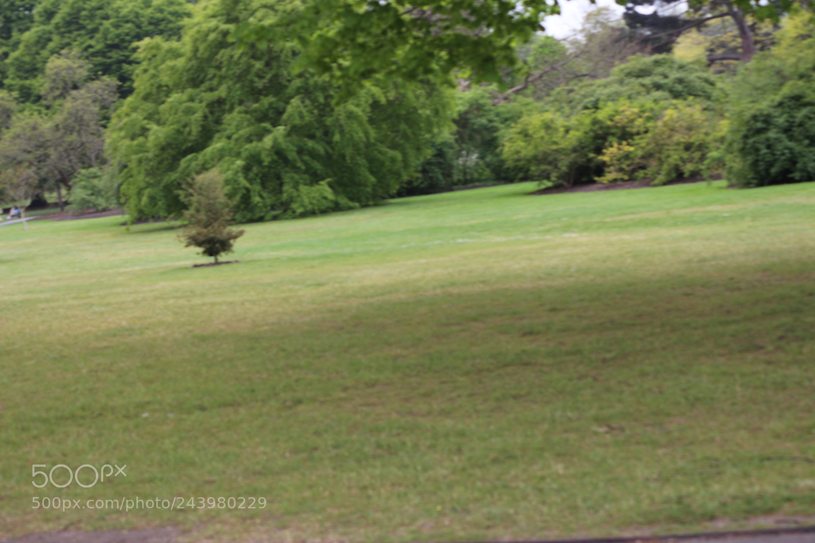 Canon EOS 650D (EOS Rebel T4i / EOS Kiss X6i) sample photo. Img photography