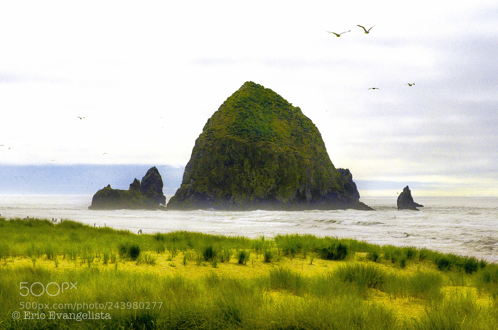 Nikon D90 sample photo. Oregon coast photography