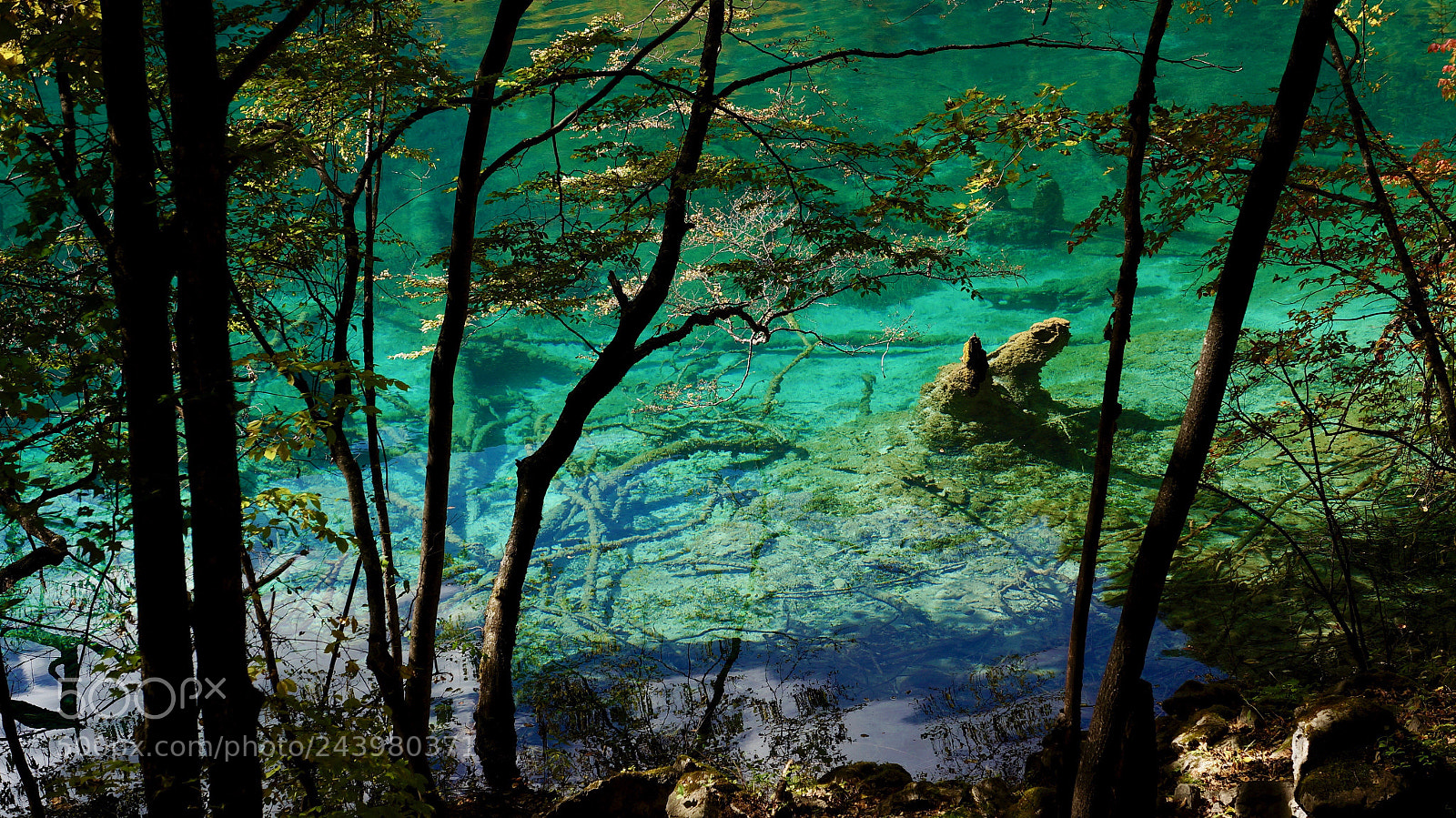 Sony Alpha NEX-5N sample photo. Untitled photography