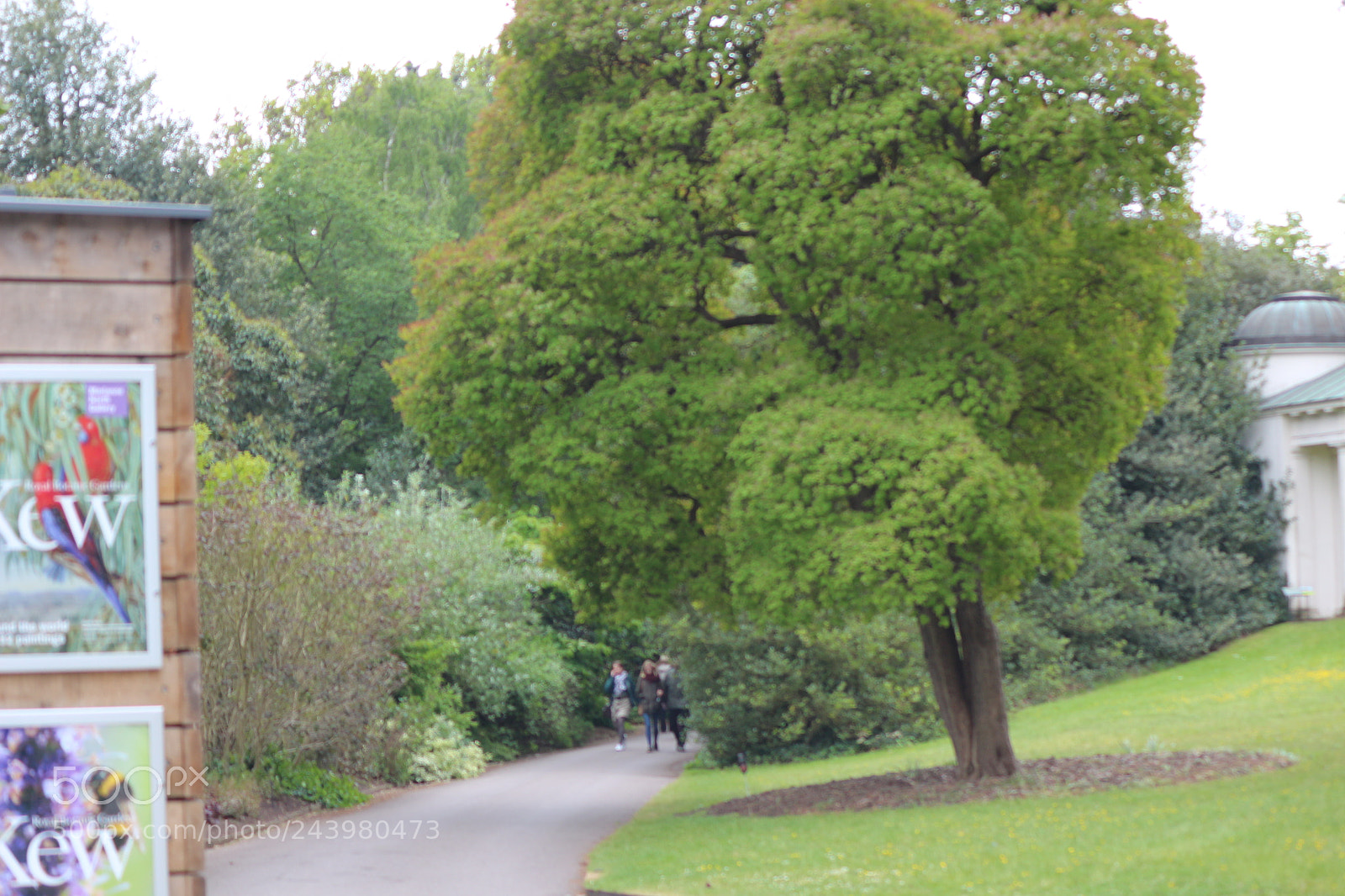 Canon EOS 650D (EOS Rebel T4i / EOS Kiss X6i) sample photo. Img photography