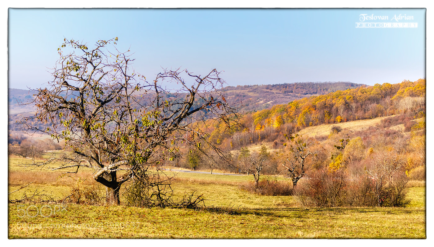 Canon EOS 7D Mark II sample photo. Beginning photography