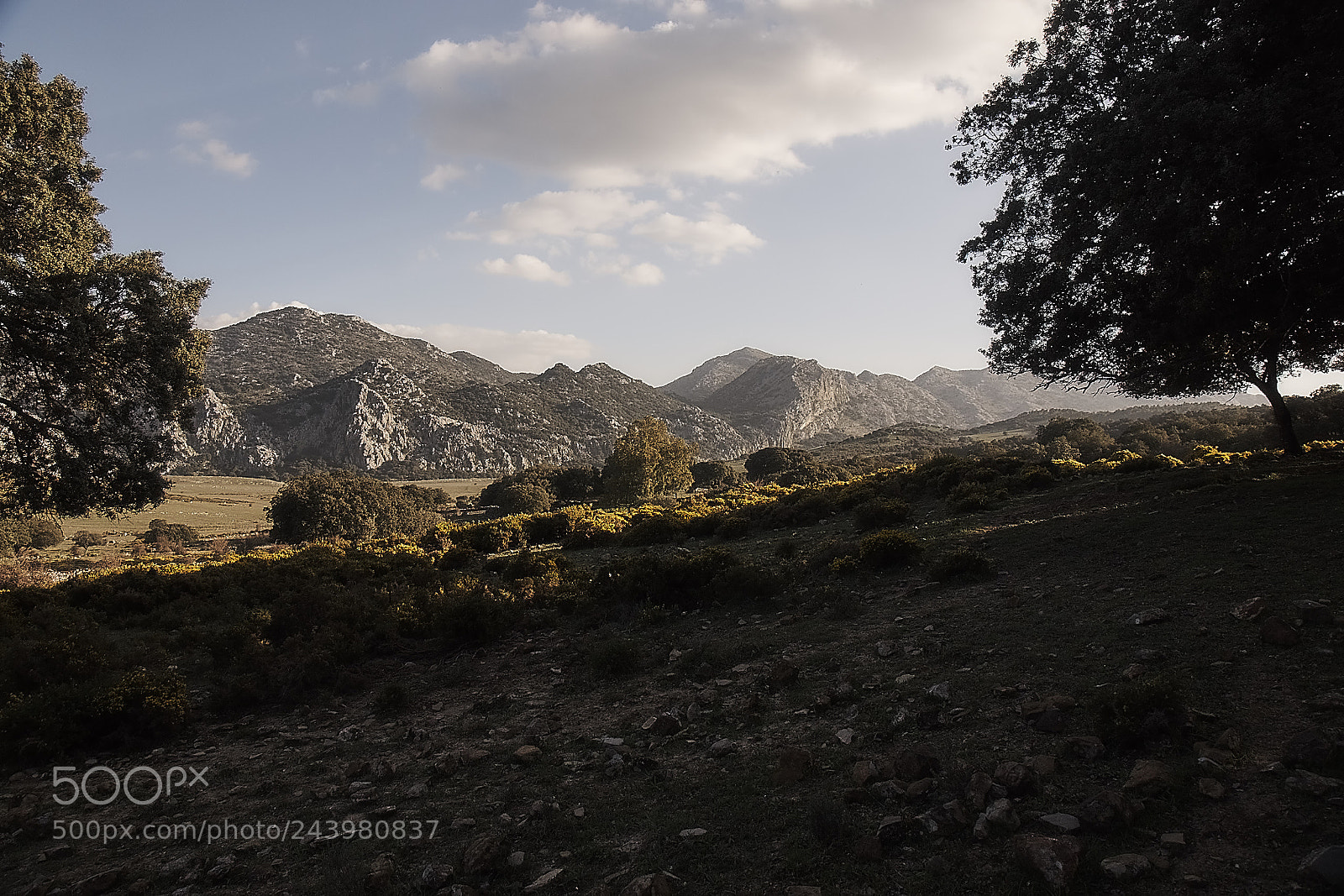 Sony Alpha DSLR-A700 sample photo. Llanos del republicano photography
