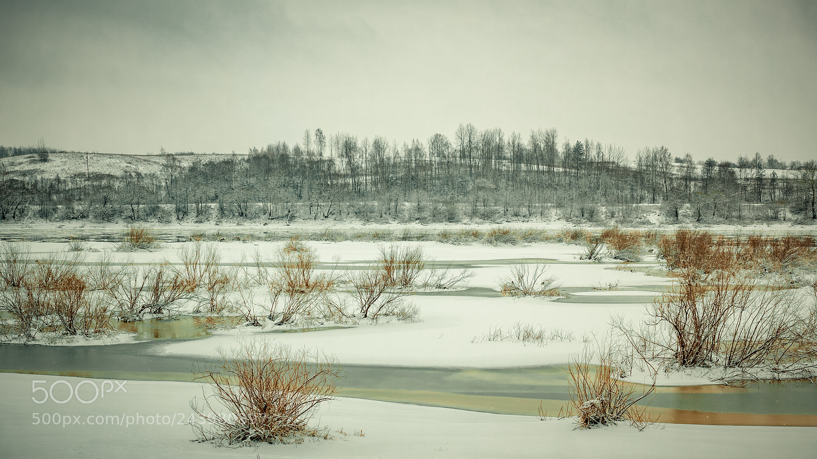 Sigma DP2 Merrill sample photo. Winter photography