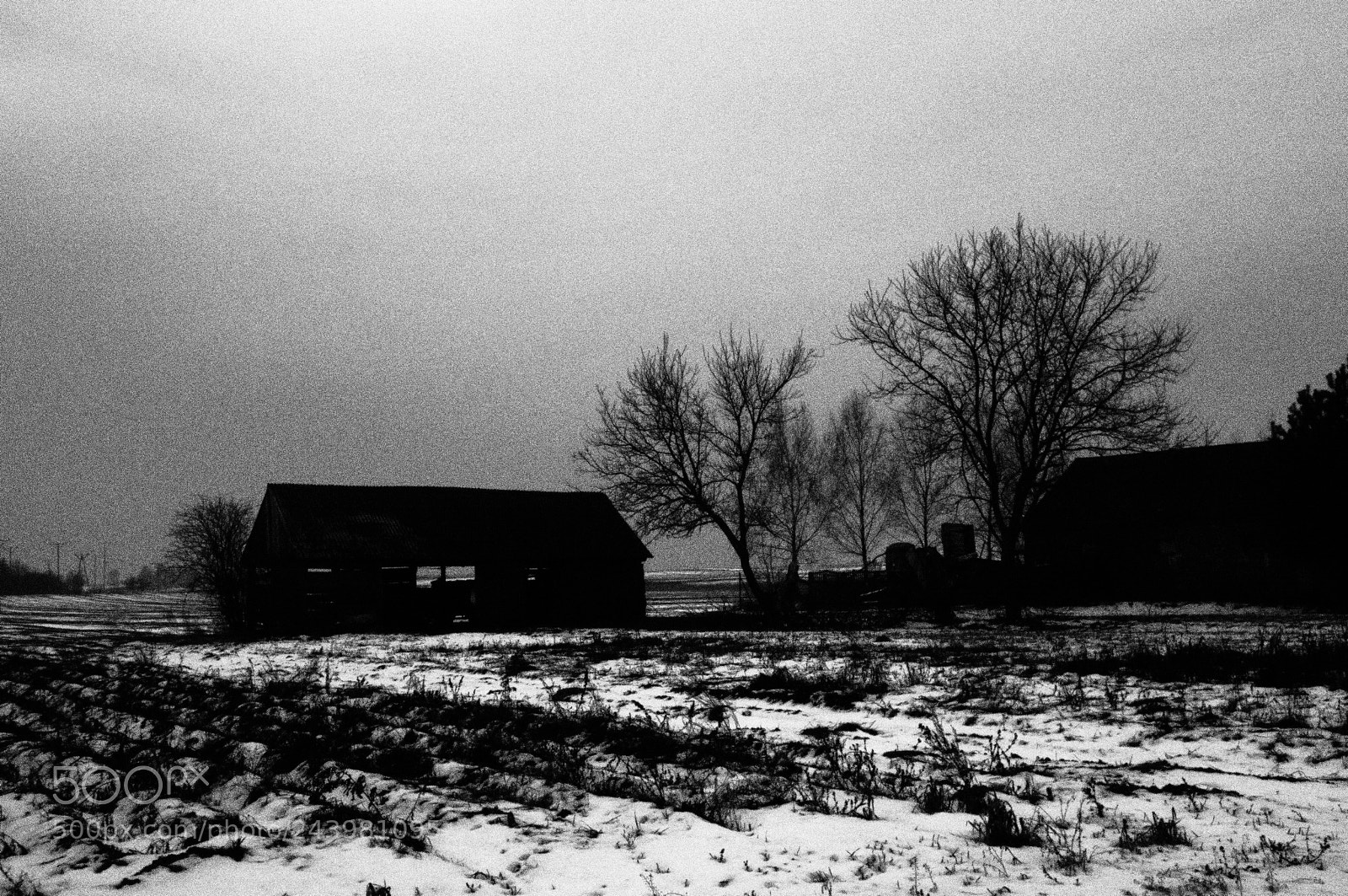 Olympus TG-4 sample photo. ... photography