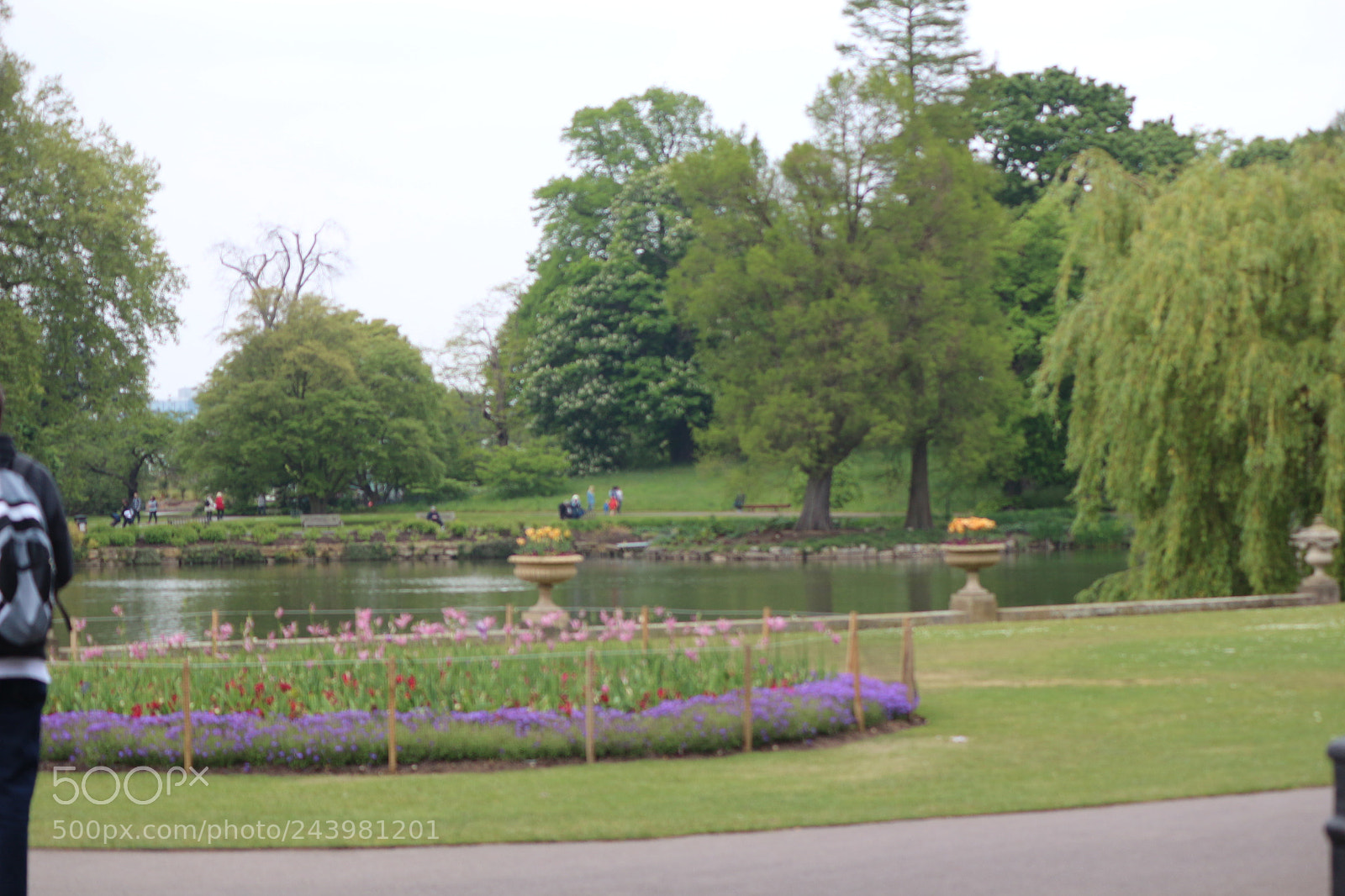 Canon EOS 650D (EOS Rebel T4i / EOS Kiss X6i) sample photo. Img photography