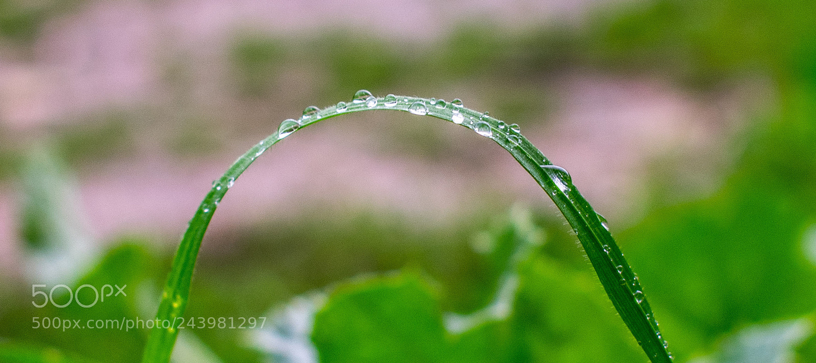 Nikon D3400 sample photo. That's so hevy photography