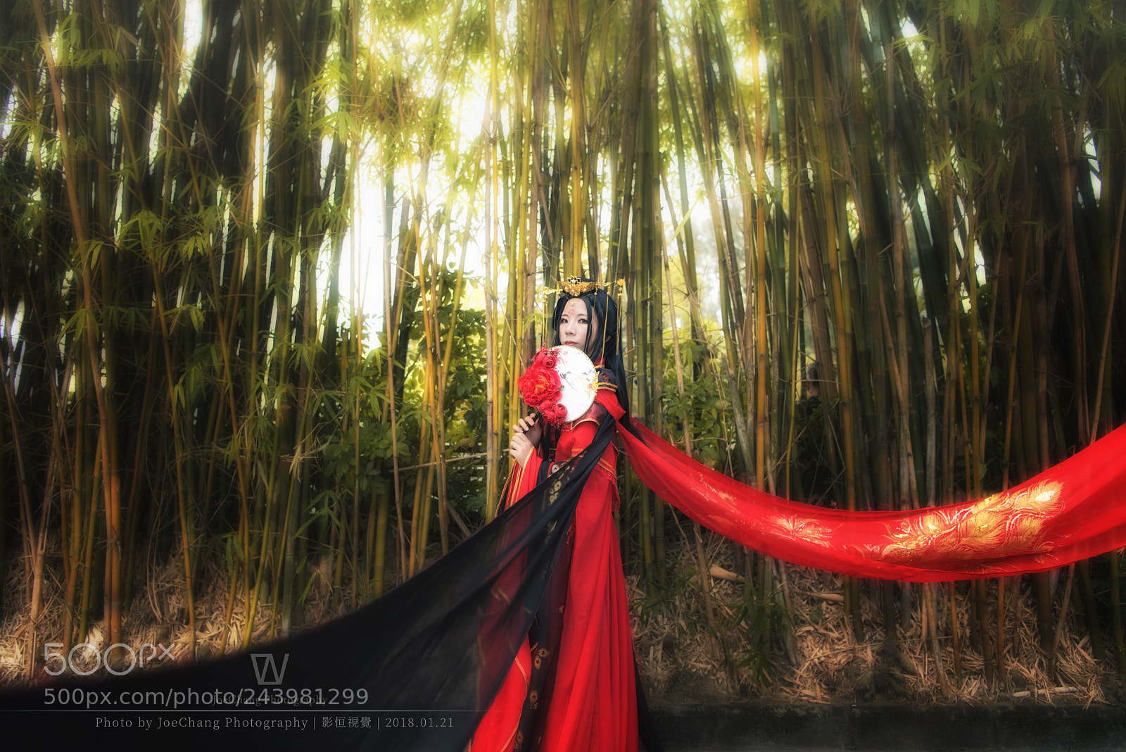 Nikon D810 sample photo. / photography