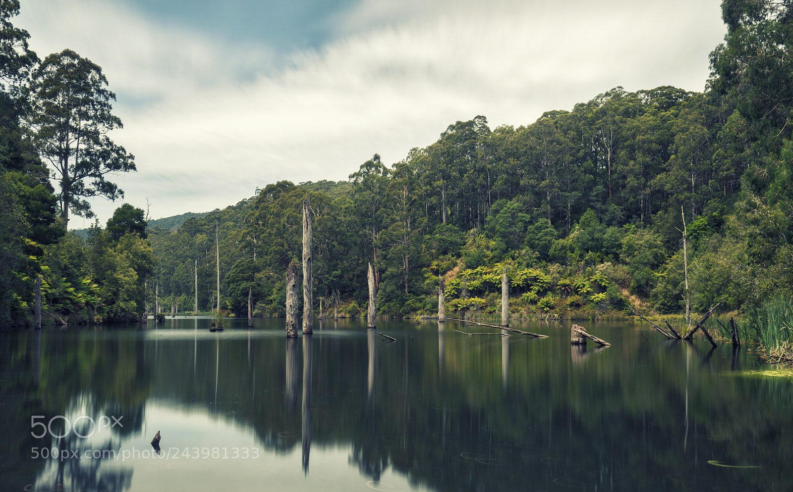 Canon EOS 5DS sample photo. Lake elizabeth photography