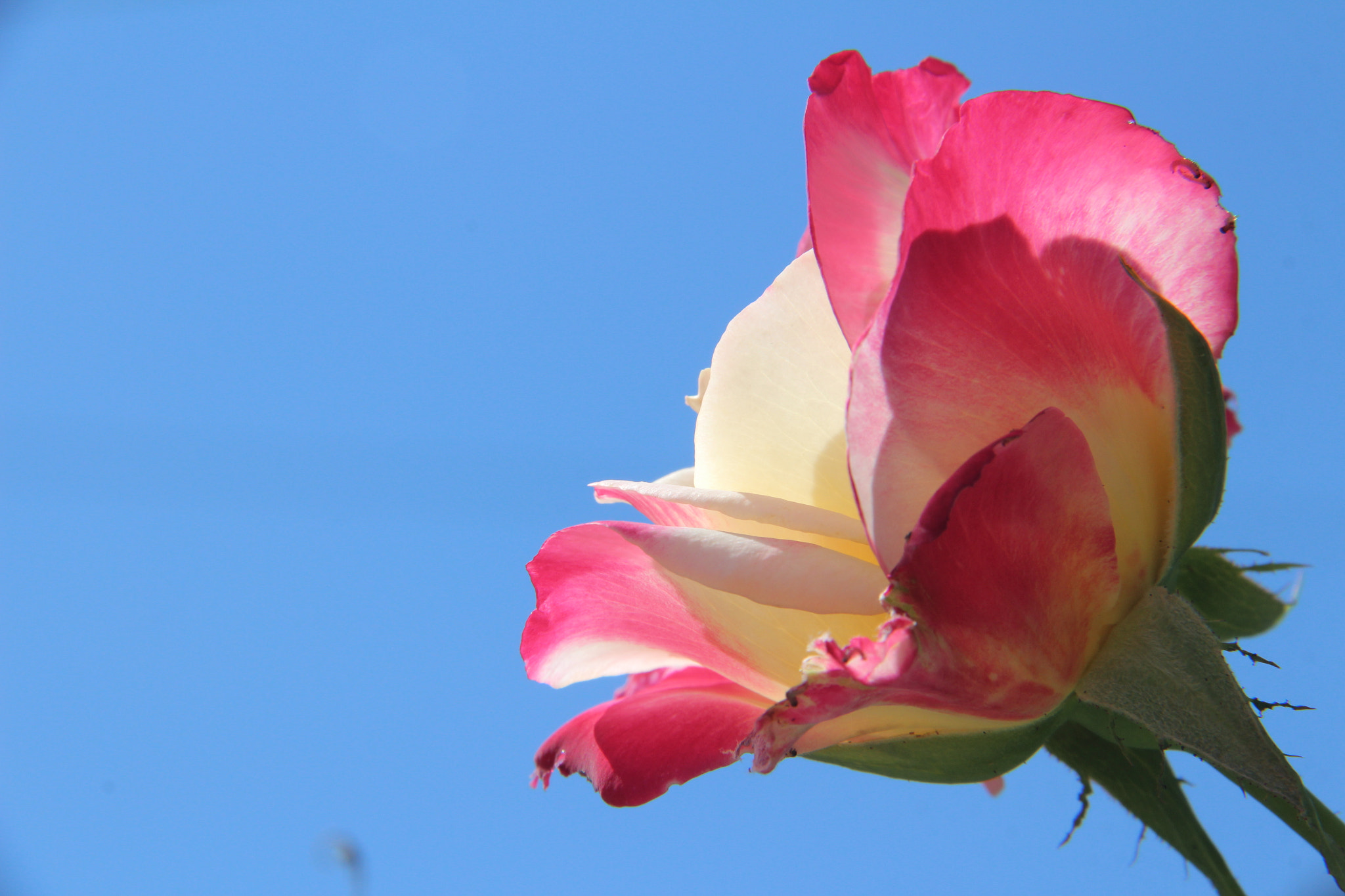 Canon EF-S 18-200mm F3.5-5.6 IS sample photo. Img photography