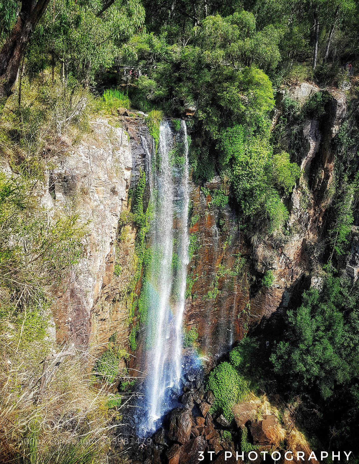 Samsung Galaxy S8+ sample photo. Queen mary fall photography