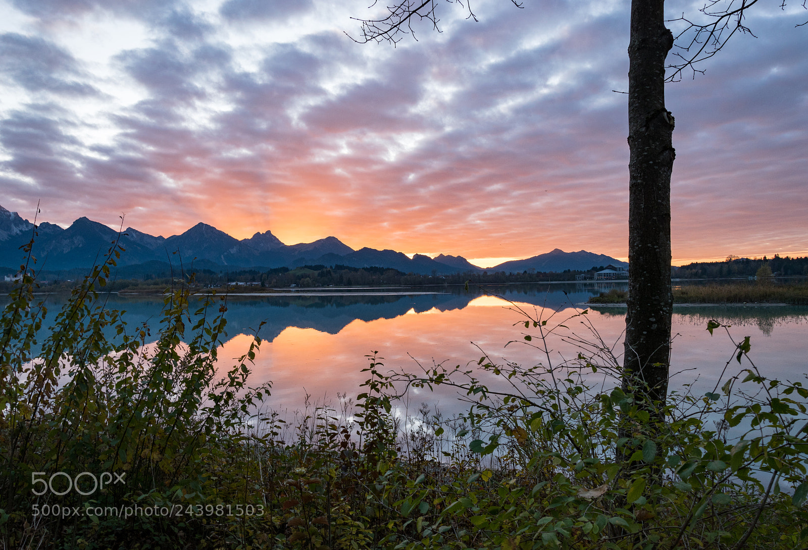 Nikon D5500 sample photo. Awesome sunset over forggensee photography