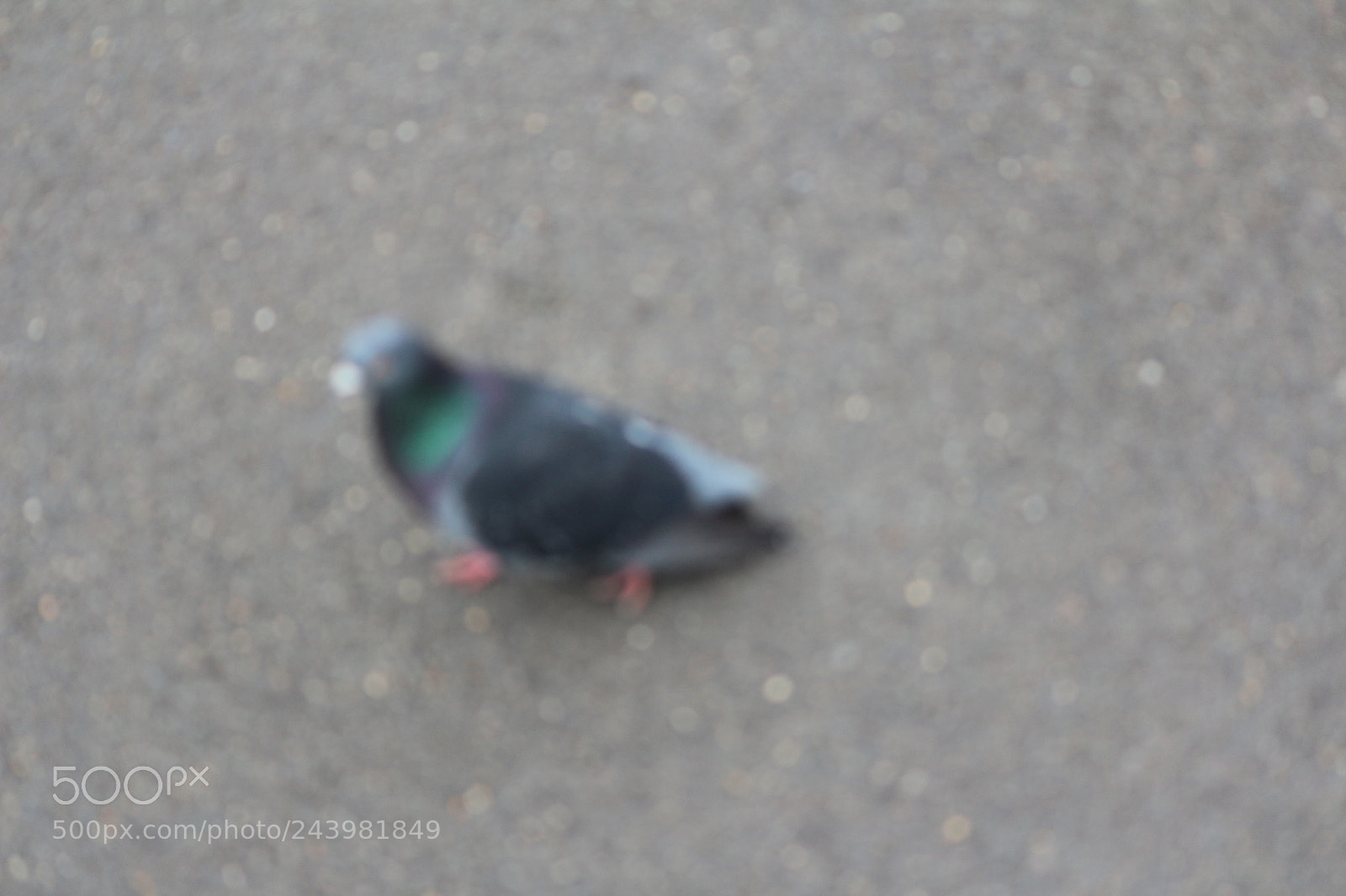 Canon EOS 650D (EOS Rebel T4i / EOS Kiss X6i) sample photo. Img photography