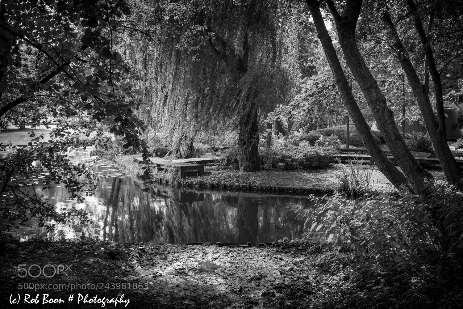 Canon EOS 5DS sample photo. Park @ castle cortenbach photography