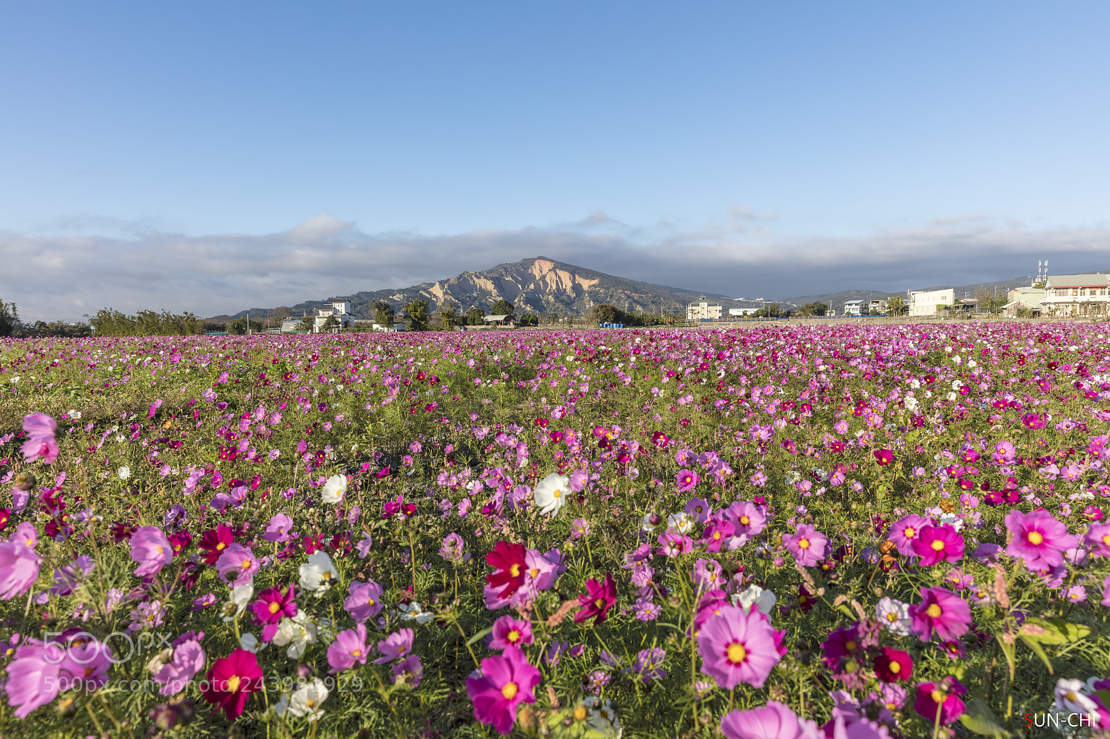 Canon EOS 5DS sample photo. 火炎山花海 photography