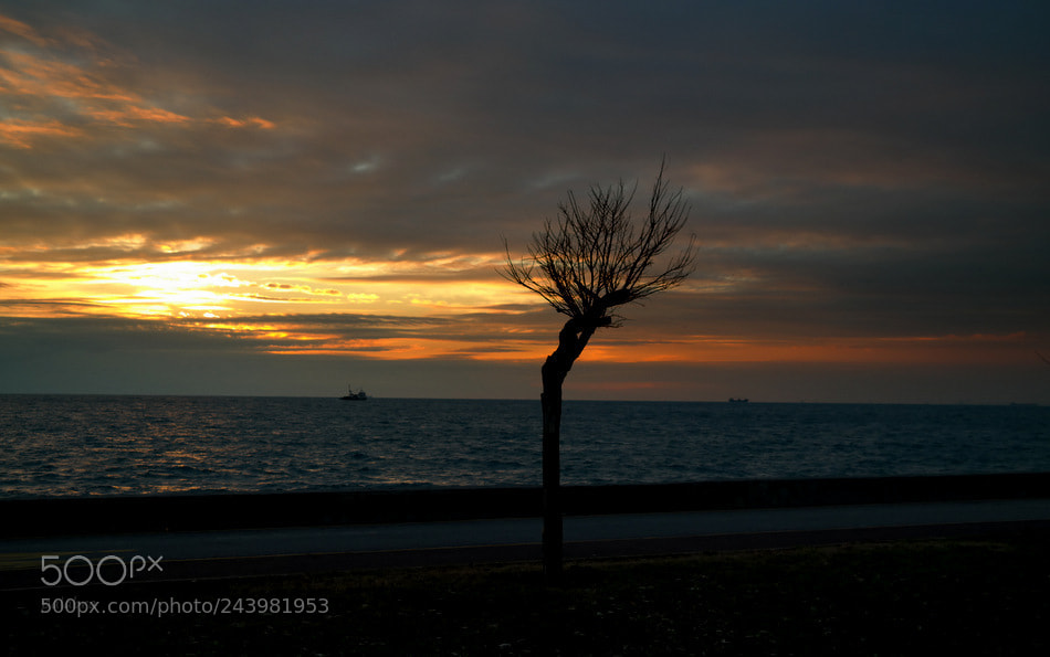 Samsung NX30 sample photo. ... photography