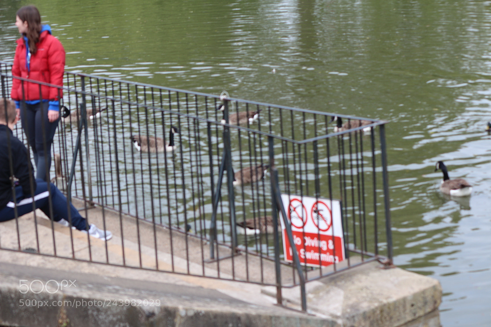Canon EOS 650D (EOS Rebel T4i / EOS Kiss X6i) sample photo. Img photography