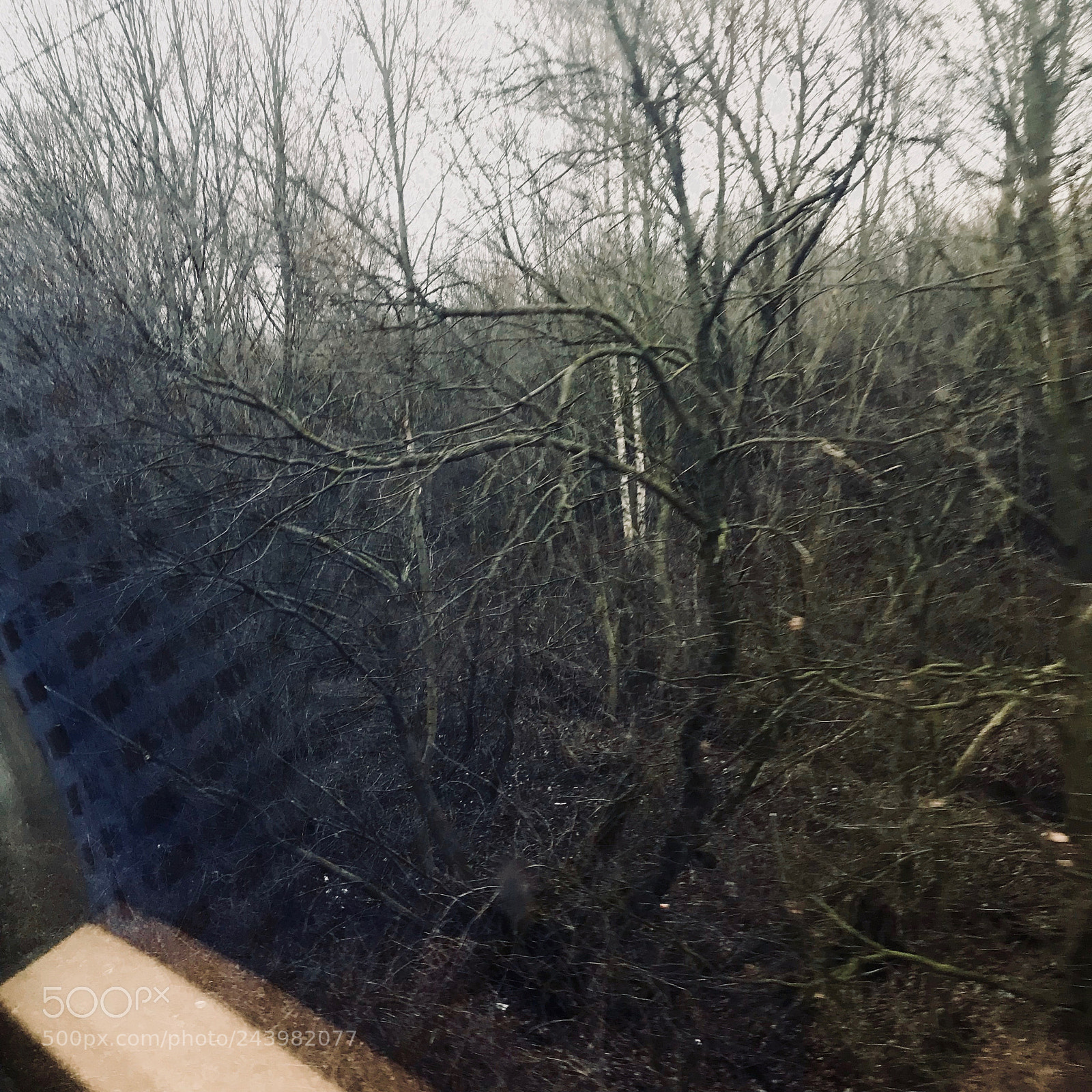 Apple iPhone 7 Plus sample photo. Untitled photography