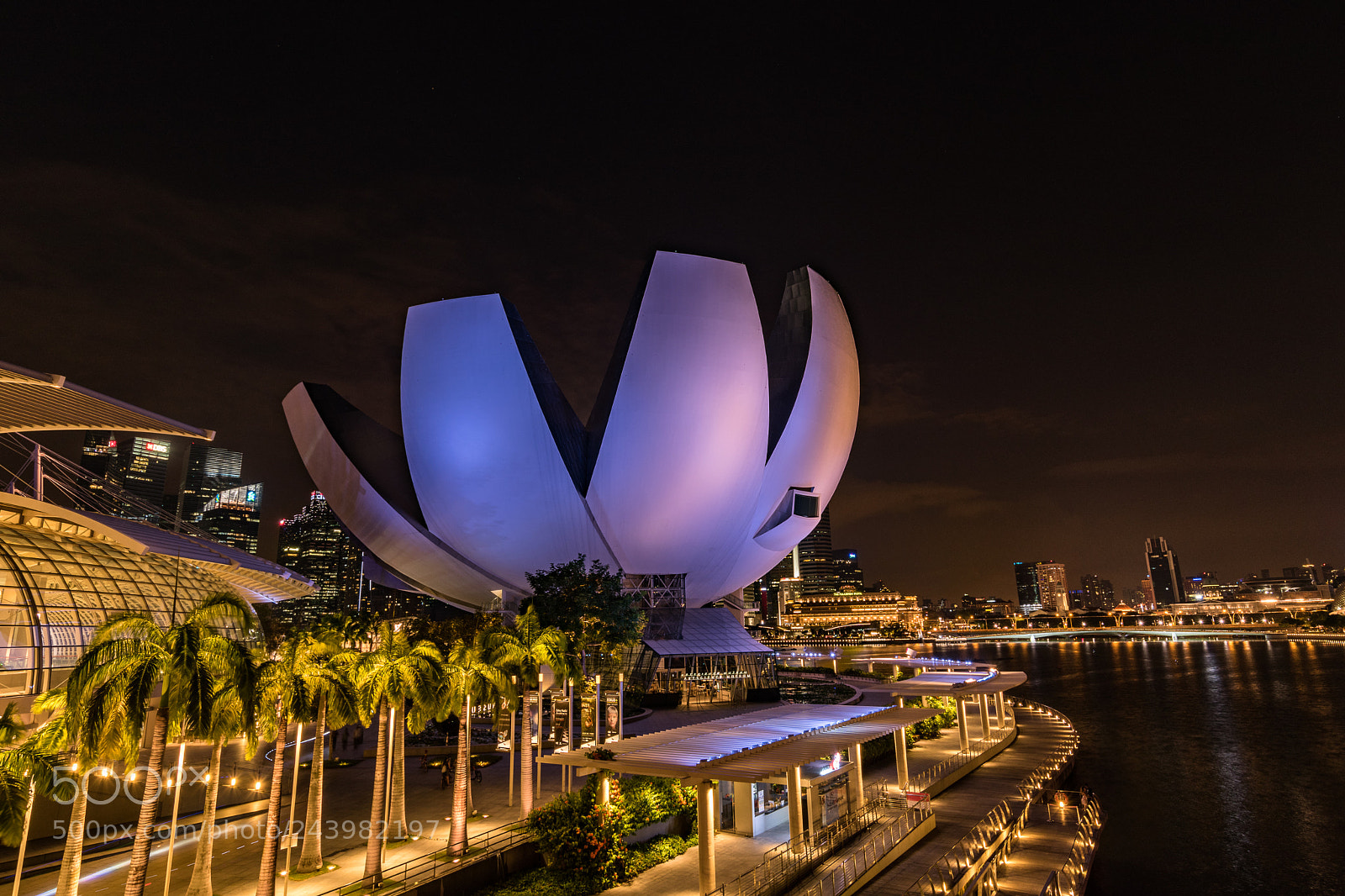 Nikon D5500 sample photo. Nocturnal artscience museum singapore photography