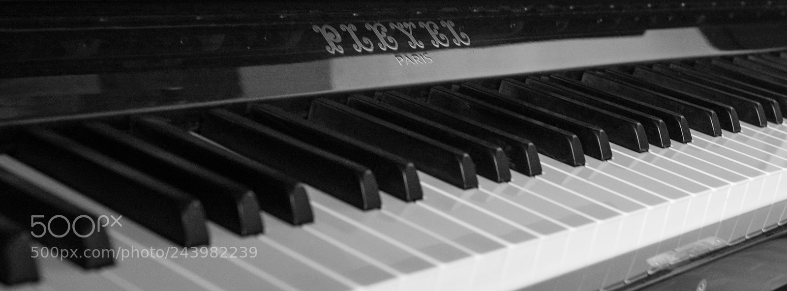 Nikon D610 sample photo. Music photography