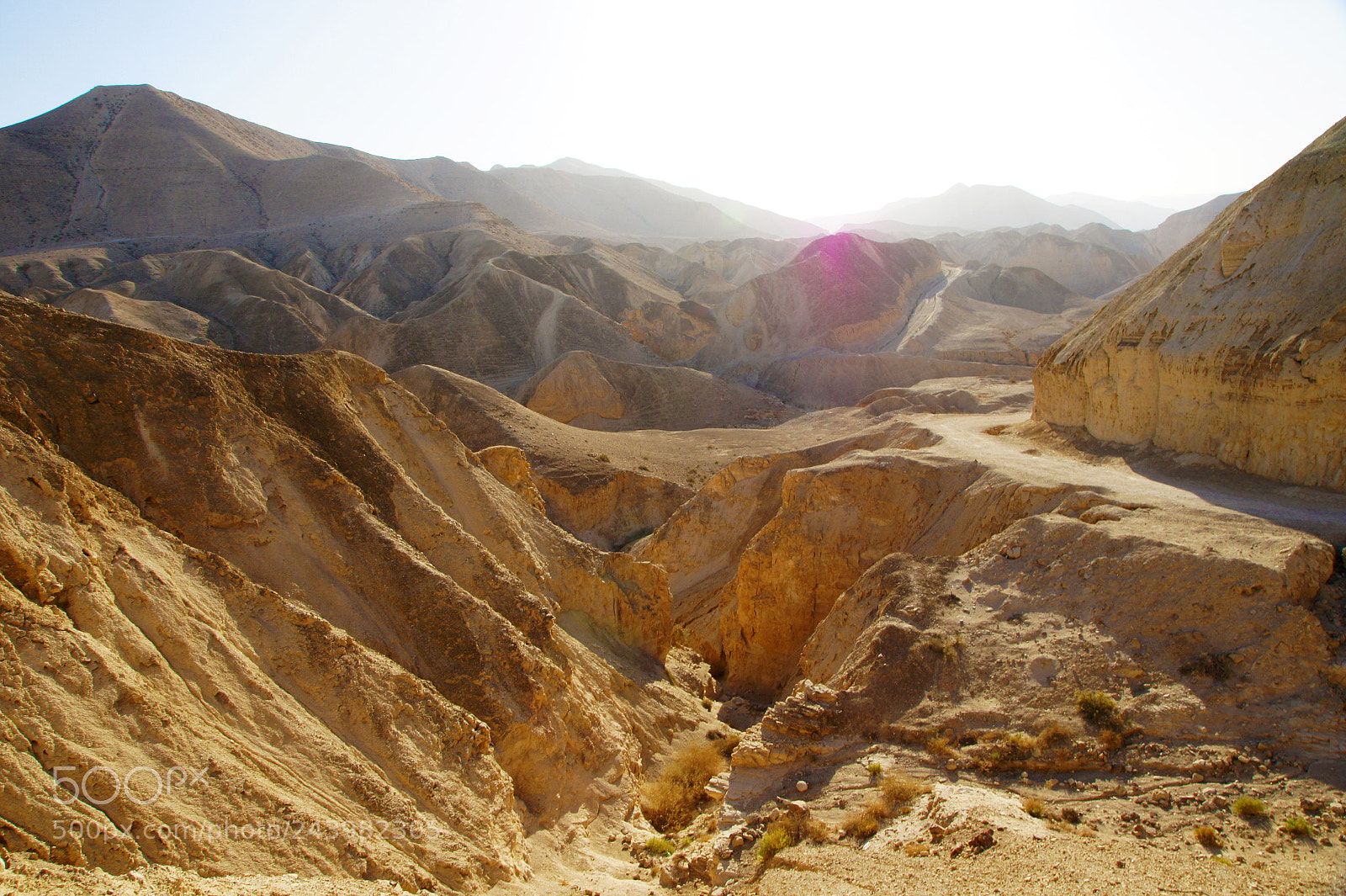 Sony Alpha DSLR-A550 sample photo. Judaean stone desert photography