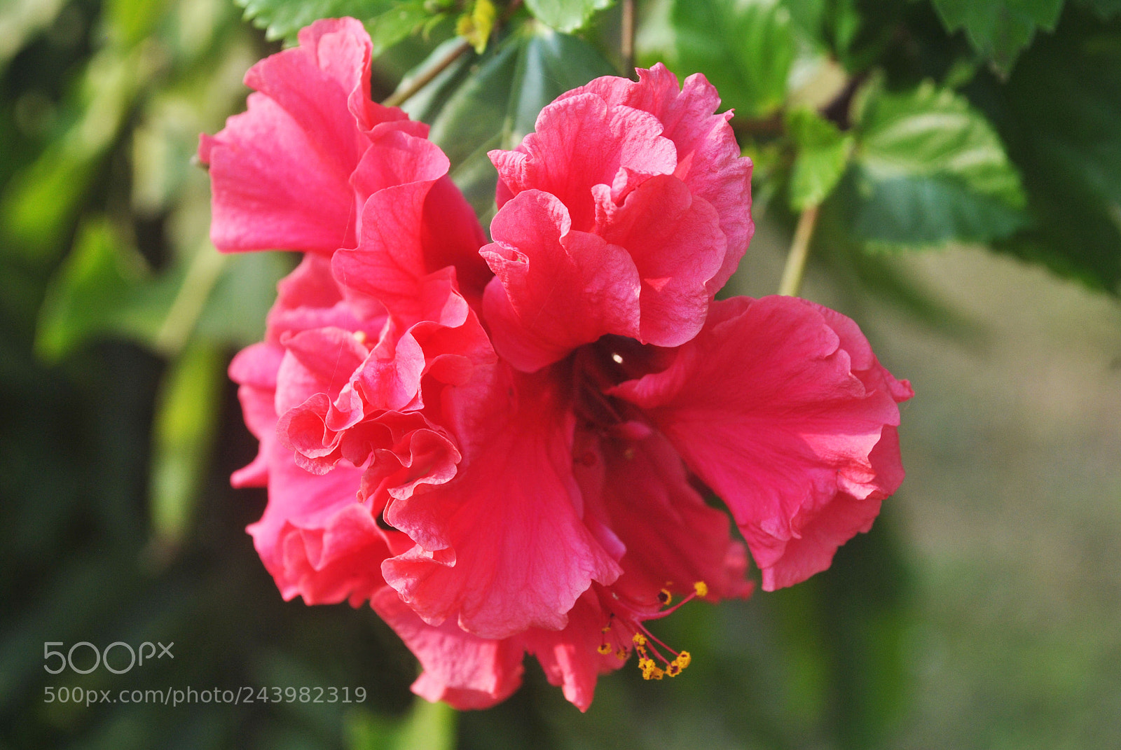 Nikon D3000 sample photo. 3.jpg photography
