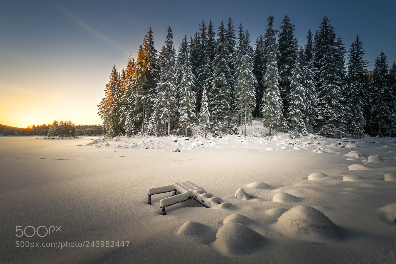 Nikon D600 sample photo. Winter fairy tale photography