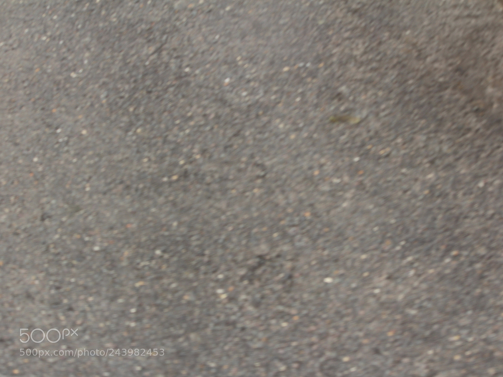 Canon EOS 650D (EOS Rebel T4i / EOS Kiss X6i) sample photo. Img photography