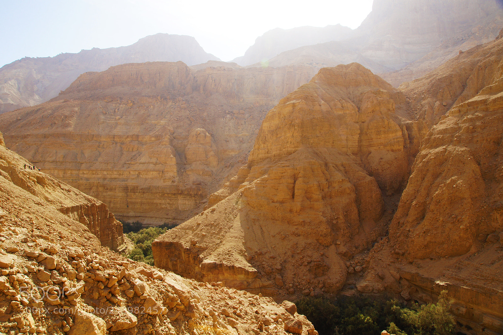 Sony Alpha DSLR-A550 sample photo. Judaean stone desert photography