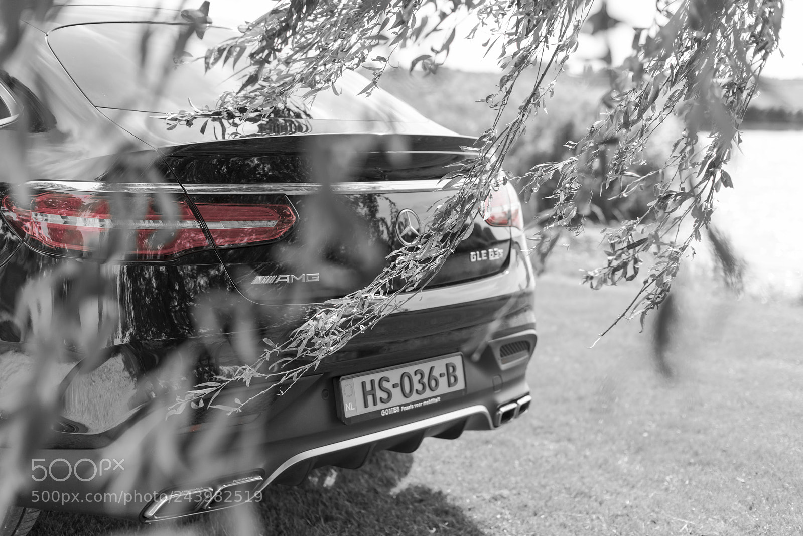 Nikon D810 sample photo. Mercedes back photography